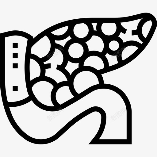 胰腺人体器官2线状图标svg_新图网 https://ixintu.com 人体器官2 线状 胰腺