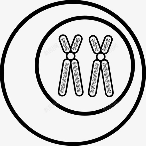 遗传细胞染色体dna图标svg_新图网 https://ixintu.com dna 染色体 遗传检测 遗传细胞