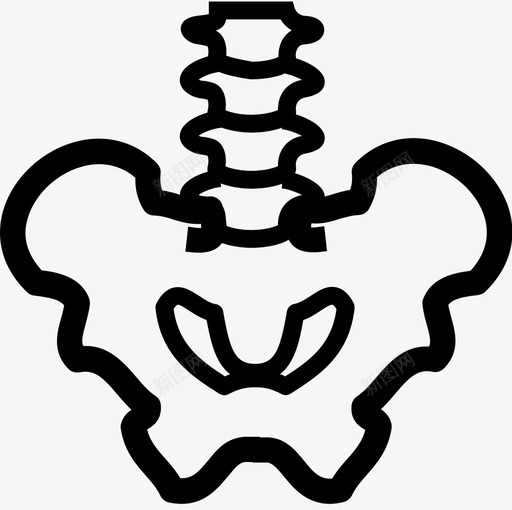 盆腔-01svg_新图网 https://ixintu.com 盆腔-01