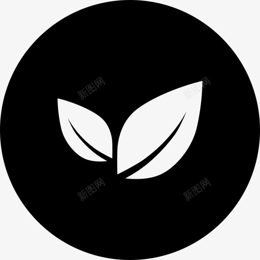 纤维svg_新图网 https://ixintu.com 纤维 叶子