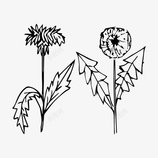蒲公英花植物图标svg_新图网 https://ixintu.com 春天 植物 花 蒲公英