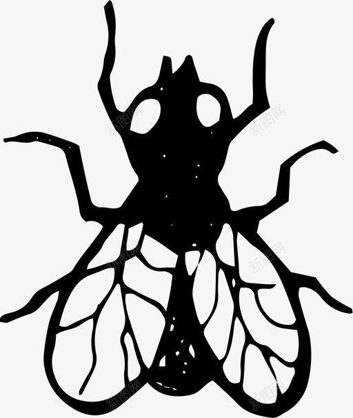 苍蝇蓝水獭飞虫图标svg_新图网 https://ixintu.com 害虫 家蝇 手绘 昆虫 水獭 苍蝇 蓝水 蚊虫 飞虫