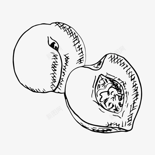 桃食物水果图标svg_新图网 https://ixintu.com 手绘 桃 水果 素描 食物