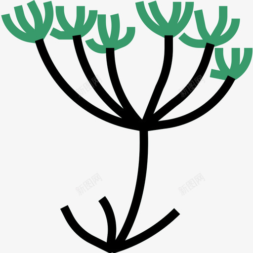 香菜药草2线状颜色图标svg_新图网 https://ixintu.com 线状 药草 颜色 香菜
