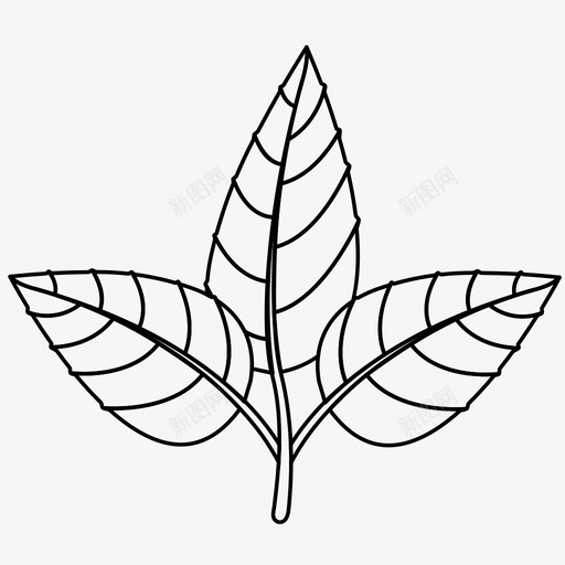 叶草药叶子图标svg_新图网 https://ixintu.com 叶 叶子 植物 自然 草药