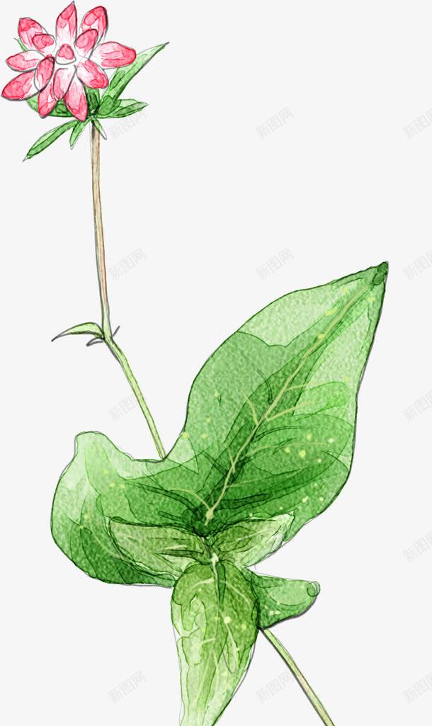 手绘粉色花朵绿叶装饰植物png免抠素材_新图网 https://ixintu.com 植物 粉色 绿叶 花朵 装饰
