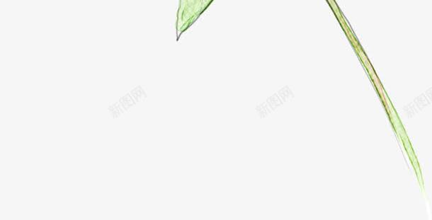 手绘粉色花朵绿叶装饰植物png免抠素材_新图网 https://ixintu.com 植物 粉色 绿叶 花朵 装饰