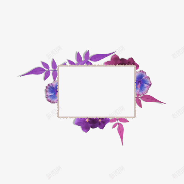 紫色花框psd免抠素材_新图网 https://ixintu.com 紫色框 紫色花朵 花框