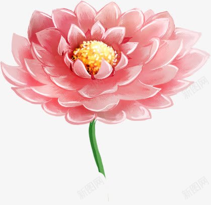 粉色清新荷花植物png免抠素材_新图网 https://ixintu.com 植物 清新 粉色 荷花