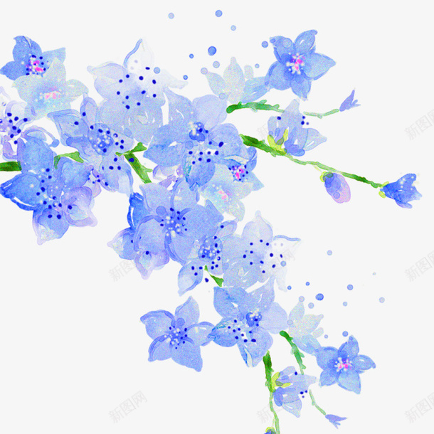 花装饰花png免抠素材_新图网 https://ixintu.com 条形牵牛花 牵牛花 紫色花 花朵 藤蔓