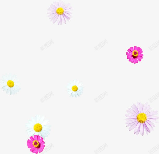 创意手绘花卉植物效果png免抠素材_新图网 https://ixintu.com 创意 效果 植物 花卉