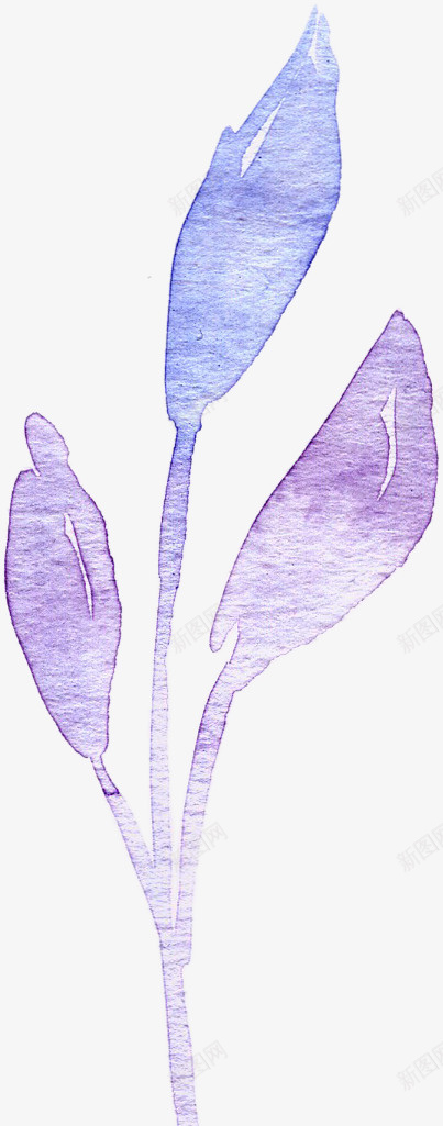 手绘水彩蓝紫色花卉png免抠素材_新图网 https://ixintu.com 手绘 水彩 花卉 蓝色 装饰图案