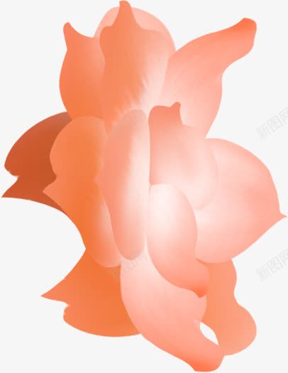 花卉主题化妆品海报png免抠素材_新图网 https://ixintu.com 主题 化妆品 海报 花卉