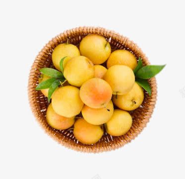 辽宁南国梨png免抠素材_新图网 https://ixintu.com png图片 产品实物 免费png元素 免费png素材 农产品 南国梨 有机