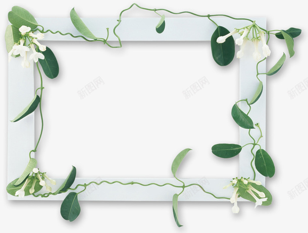 植物相框png免抠素材_新图网 https://ixintu.com 树叶 相框 绿植
