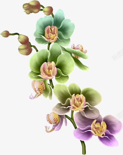 水彩鸢尾花png免抠素材_新图网 https://ixintu.com 手绘 漂浮 装饰 鲜花 鸢尾花