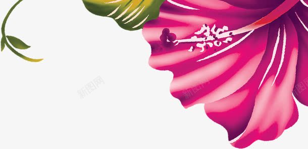 紫色手绘精美花朵装饰png免抠素材_新图网 https://ixintu.com 精美 紫色 花朵 装饰