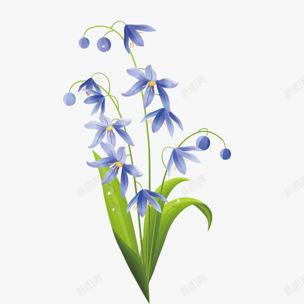 紫色小花png免抠素材_新图网 https://ixintu.com 小清新 手绘植物花卉 插画 紫色小花 绘画 花卉 装饰图案