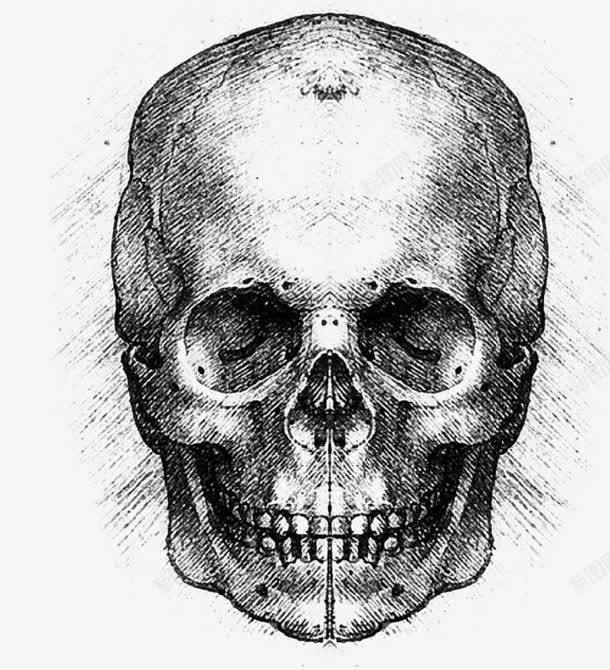 卡通手绘骷髅头png免抠素材_新图网 https://ixintu.com 卡通 素描 铅笔画 骷髅头