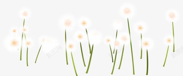 白色卡通郊外花朵png免抠素材_新图网 https://ixintu.com 卡通 白色 花朵 郊外