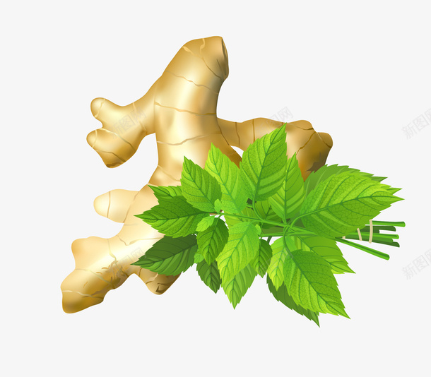 卡通手绘香草料矢量图图标eps_新图网 https://ixintu.com 卡通手绘 图案图标 食品调料 香草料 香辛料 矢量图