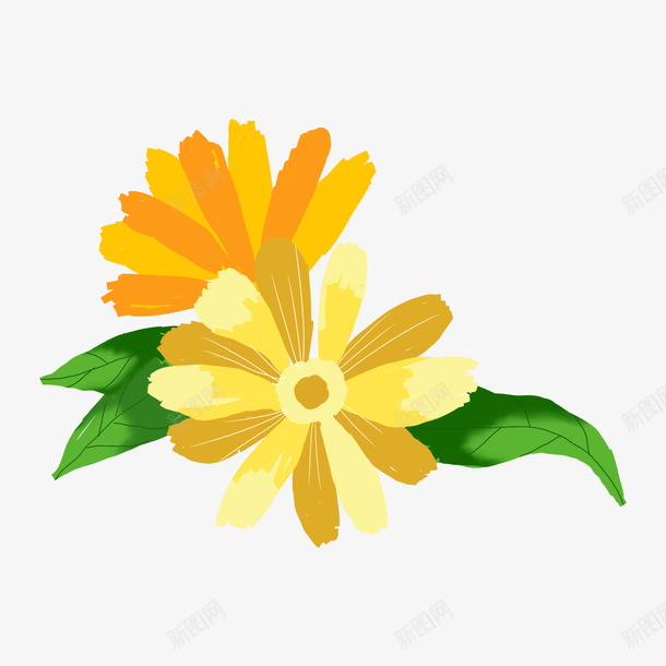 花花草草雏菊菊花手绘花朵png免抠素材_新图网 https://ixintu.com daisy 小雏菊 手绘 花朵 花花草草 菊花 菊花图案
