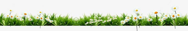 白色春天花朵植物png免抠素材_新图网 https://ixintu.com 春天 植物 白色 花朵