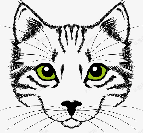 手绘猫矢量图ai免抠素材_新图网 https://ixintu.com 插画 猫 矢量图