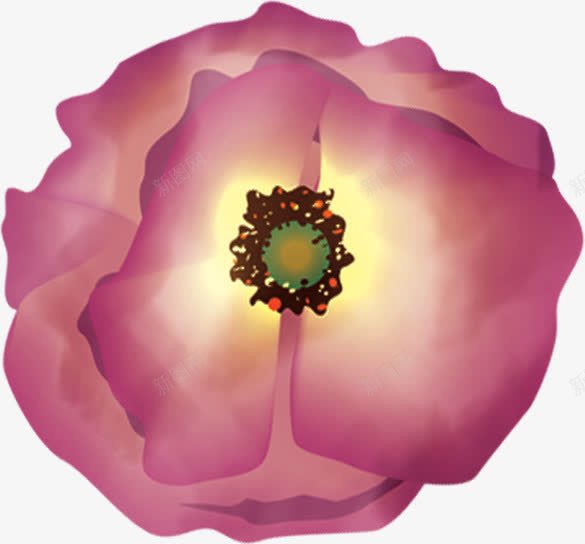 手绘粉色鲜花海报png免抠素材_新图网 https://ixintu.com 海报 粉色 鲜花