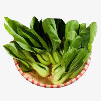 新鲜油菜png免抠素材_新图网 https://ixintu.com 实物 新鲜油菜 新鲜蔬菜 油菜 蔬菜
