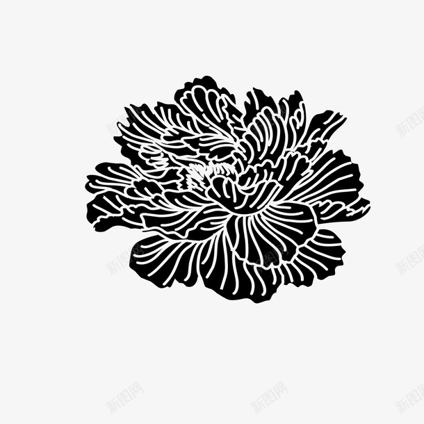 手绘黑色花朵png免抠素材_新图网 https://ixintu.com 手绘黑色花朵 花 花朵 黑色