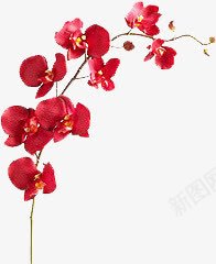 卡通手绘红色树叶png免抠素材_新图网 https://ixintu.com 卡通 手绘 树叶 红色