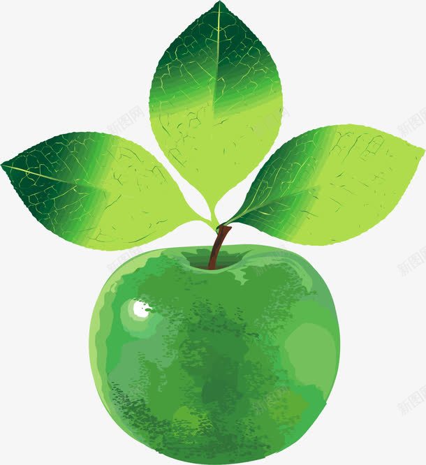 手绘青苹果png免抠素材_新图网 https://ixintu.com 果子 果实 水果 苹果 食物