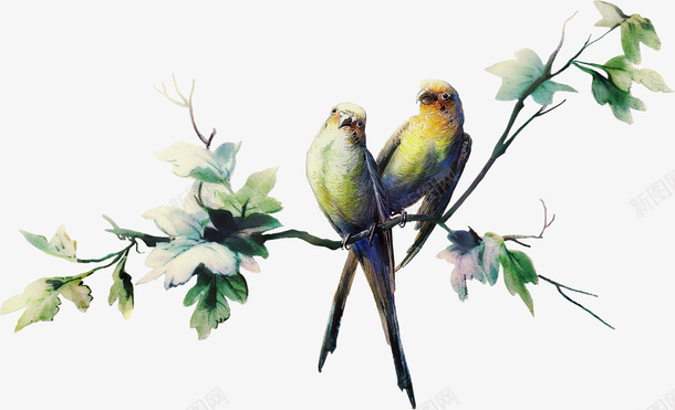 树枝小鸟图案png免抠素材_新图网 https://ixintu.com 小鸟 插画 枝干 树枝 装饰图案