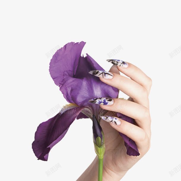 花与手psd免抠素材_新图网 https://ixintu.com 美甲 美甲图 花与手 花与手素材