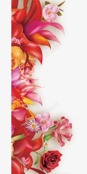 装饰边框红色喜庆花束png免抠素材_新图网 https://ixintu.com 喜庆 红色 花束 装饰 边框