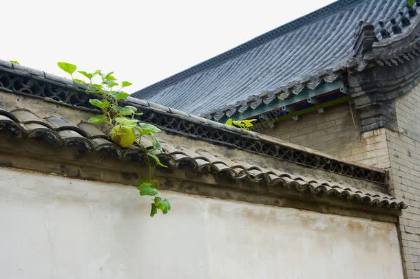 老旧院子围栏墙檐png免抠素材_新图网 https://ixintu.com 墙檐