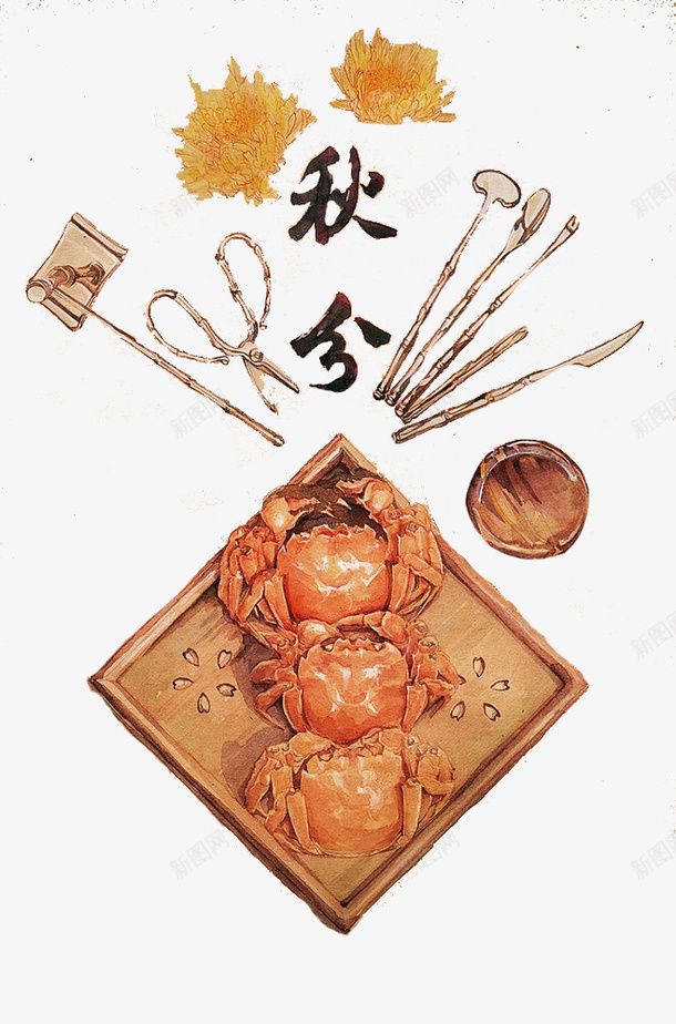 水彩青蟹png免抠素材_新图网 https://ixintu.com 橙色 水彩 青蟹 食物