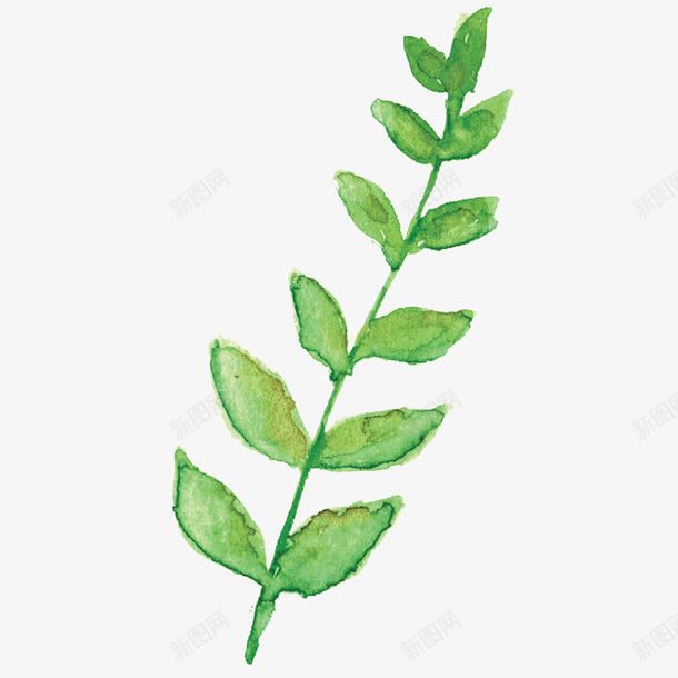 漂浮植物png免抠素材_新图网 https://ixintu.com 手绘 植物 绿叶
