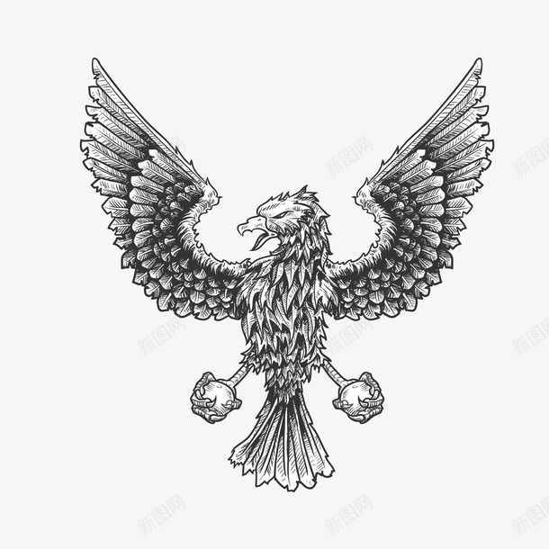 手绘鸟矢量图eps免抠素材_新图网 https://ixintu.com png素材 手绘鸟 鸟 矢量图