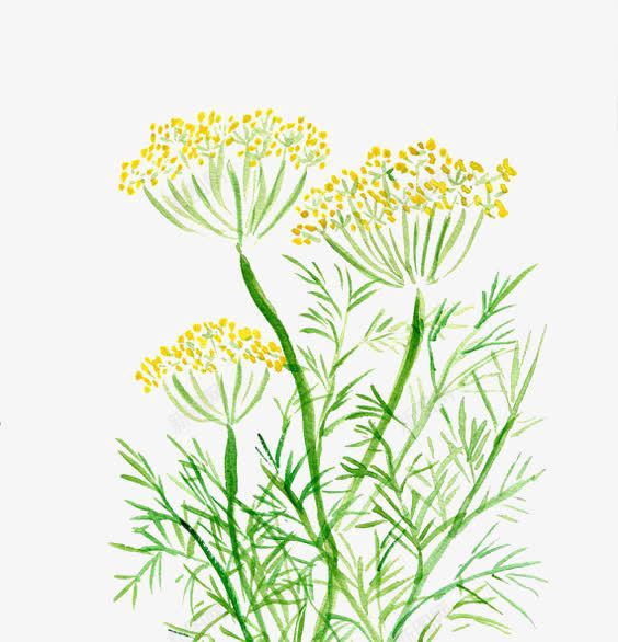 花朵png免抠素材_新图网 https://ixintu.com 小花 手绘花朵 水彩花朵 绿色叶片 黄色花朵