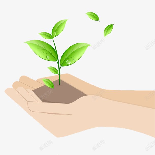 卡通手捧树苗png免抠素材_新图网 https://ixintu.com 卡通树苗 手捧树苗 树苗 矢量树苗