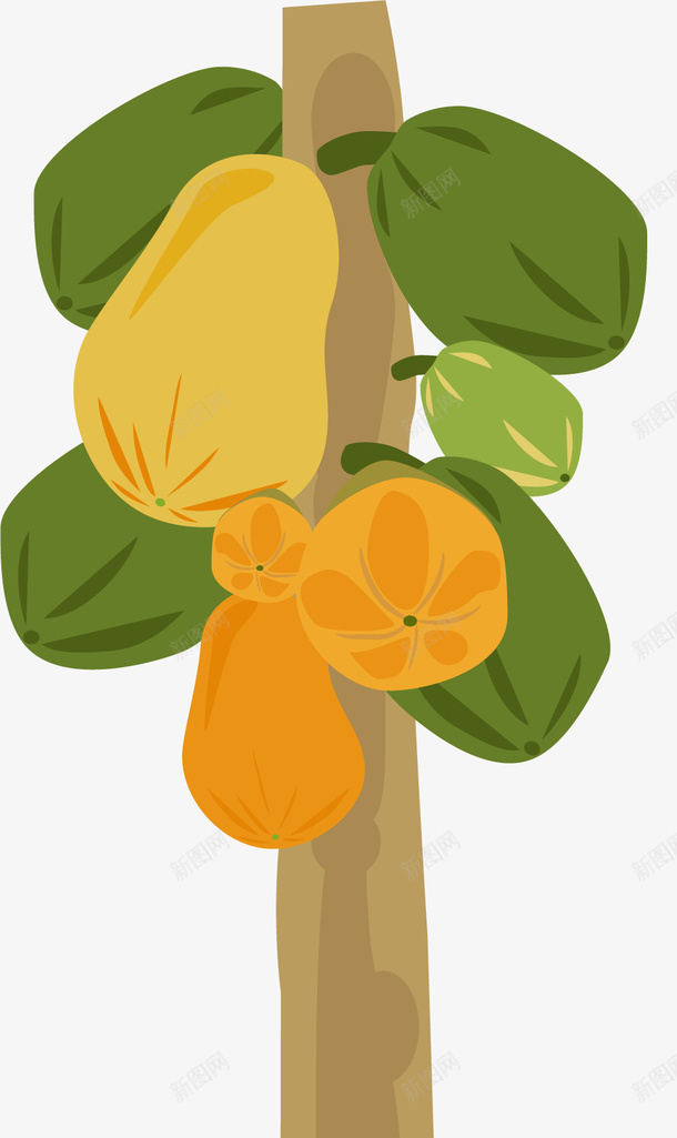 果树上的卡通木瓜png免抠素材_新图网 https://ixintu.com 卡通木瓜 卡通风格 手绘风格 果树 果树的木瓜 香甜木瓜