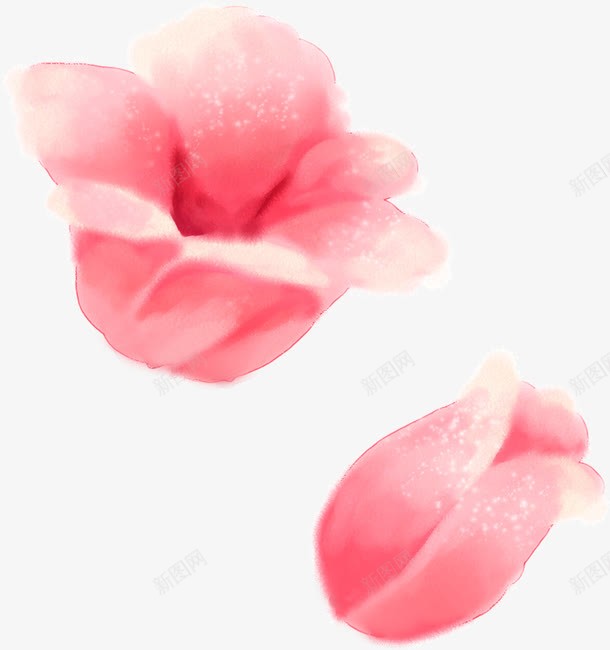 插画海报手绘红色花朵png免抠素材_新图网 https://ixintu.com 插画 海报 红色 花朵
