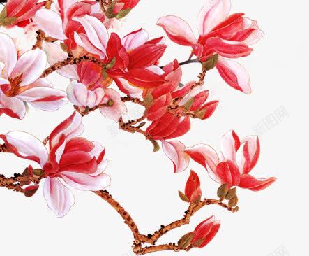 手绘红色粉色花朵png免抠素材_新图网 https://ixintu.com 粉色 红色 花朵