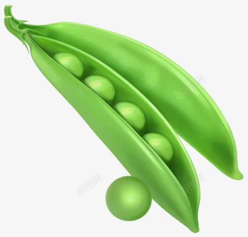 手绘豌豆荚png免抠素材_新图网 https://ixintu.com 手绘 爆开的 豌豆 豌豆荚