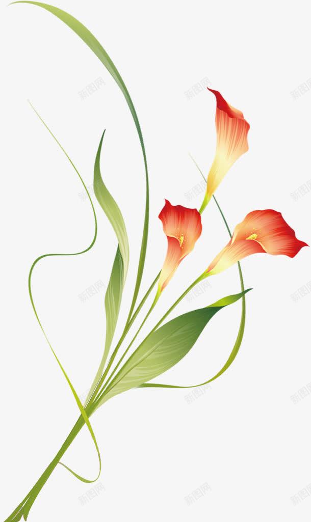 红色手绘花朵植物节日png免抠素材_新图网 https://ixintu.com 植物 红色 节日 花朵