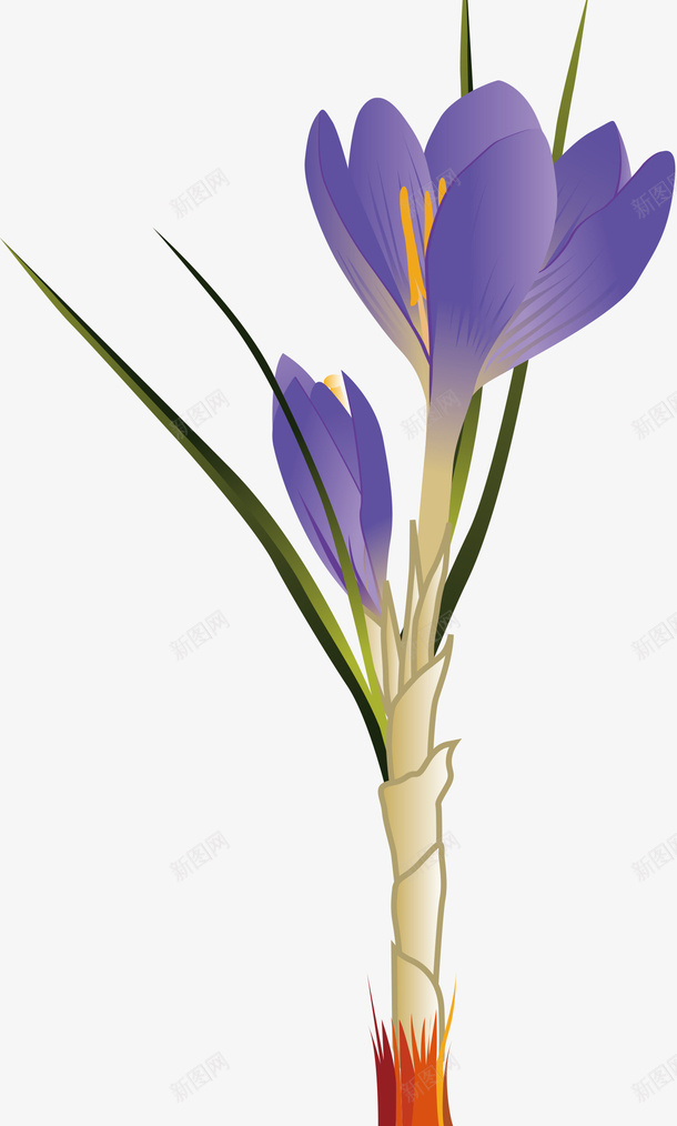 手绘花矢量图ai免抠素材_新图网 https://ixintu.com 手绘花 矢量花 花 鲜花 矢量图
