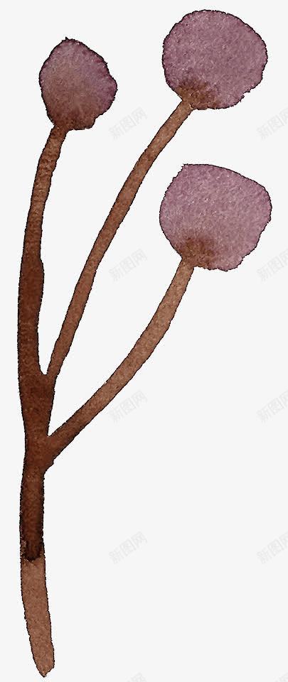 手绘小花png免抠素材_新图网 https://ixintu.com 小花 小草 手绘 棕色