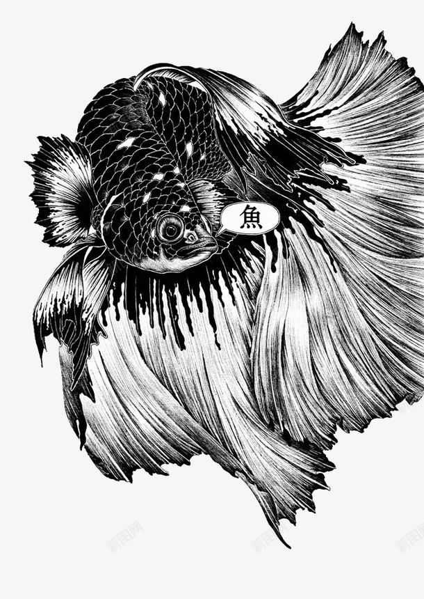 黑白鱼创意插画png免抠素材_新图网 https://ixintu.com 创意 插画 艺术 设计 鱼 黑白